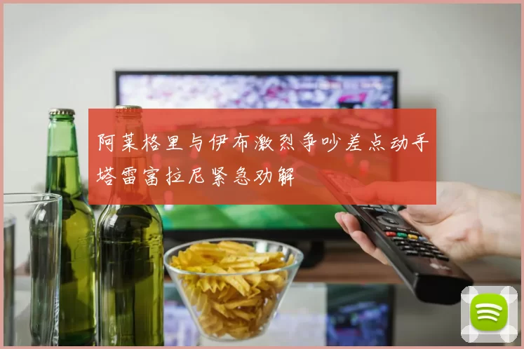 阿莱格里与伊布激烈争吵差点动手塔雷富拉尼紧急劝解